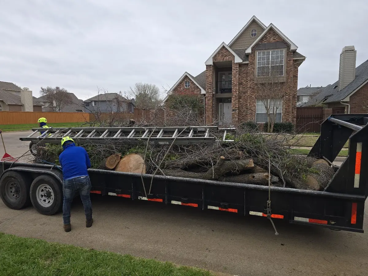 Expert Tree Fertilization with proper safety equipment in Hillsdale